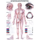 Charts Körperakupunktur – Die Mini-Chart