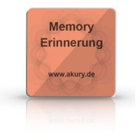 Informationschip Memory