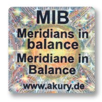 AkuRuy Informationschip Meridiane in Balance