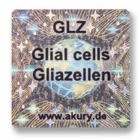 AkuRuy Informations-Chip Gliazellen GLZ