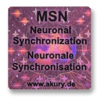 AkuRuy Informations-Chip MSN - Neuronale Synchronisation