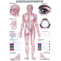 Charts Körperakupunktur – Die große Wandkarte