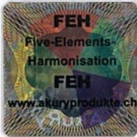 Informations-Chip Five Elements Harmonisation (FEH)