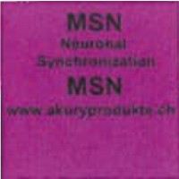 Informations-Chip Neuronal Synchronization (MSN)